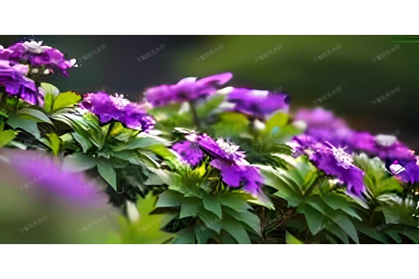 塘沽杭州道足疗按摩，桑拿约茶，享受悠闲时光